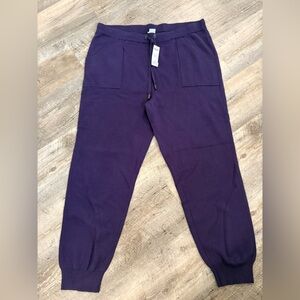 Chico's Deep Purple Casual Cashmere Joggers